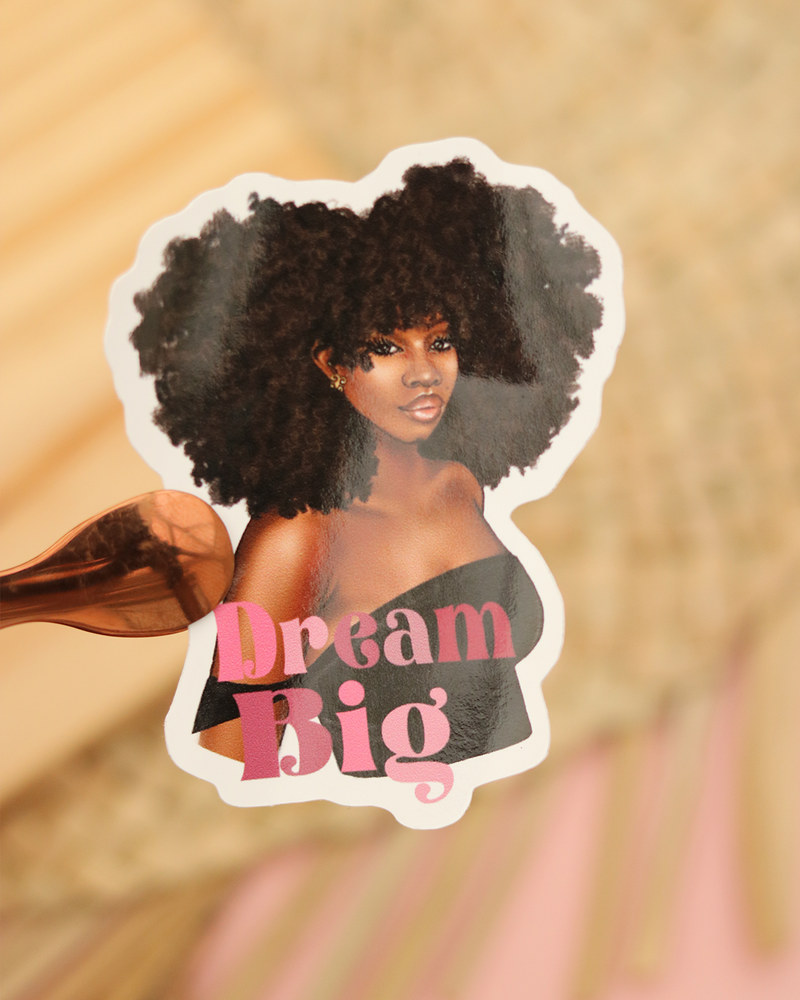 Dream Big Sticker